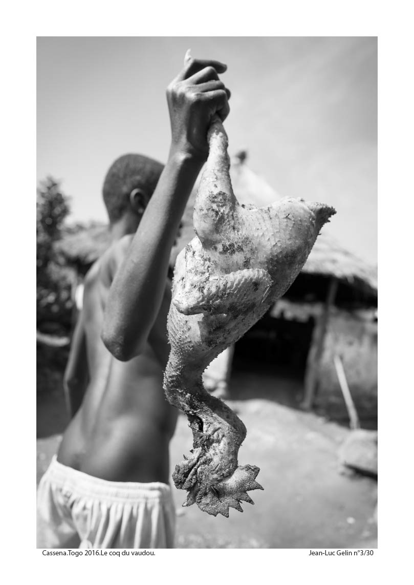 JLG photo N/B Le coq du vaudou - Cassena, Togo